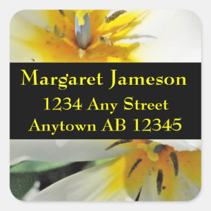 Het witte Etiket van het Adres van de Terugkeer