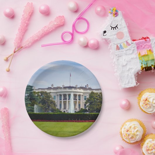 Het Witte Huis Papieren Bordje (Feest)