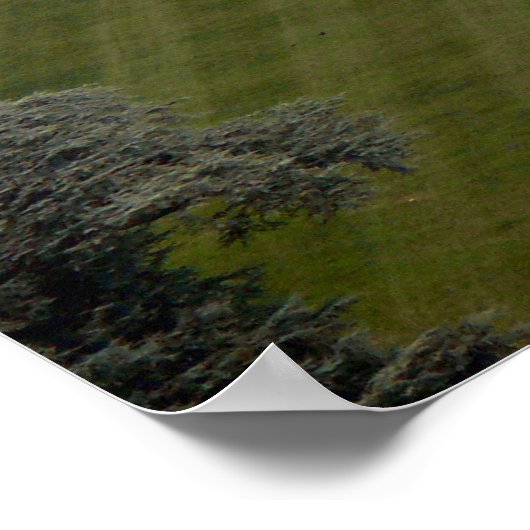 Het Witte Huis - Zuidelijke Facade Poster (Hoek)