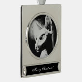 Het witte Kat Pet Black met haarloze kreeft Verzilverd Banner Ornament (Rechts)