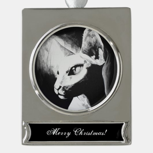 Het witte Kat Pet Black met haarloze kreeft Verzilverd Banner Ornament (Voorkant)