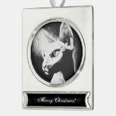 Het witte Kat Pet Black met haarloze kreeft Verzilverd Banner Ornament (Links)