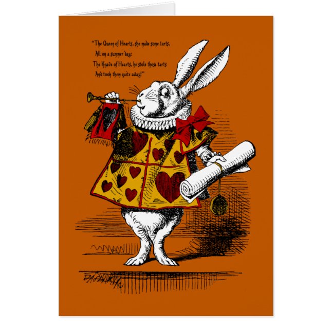 Het witte konijn (Voorkant)