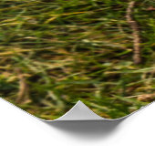 Het witte konijn poster (Hoek)