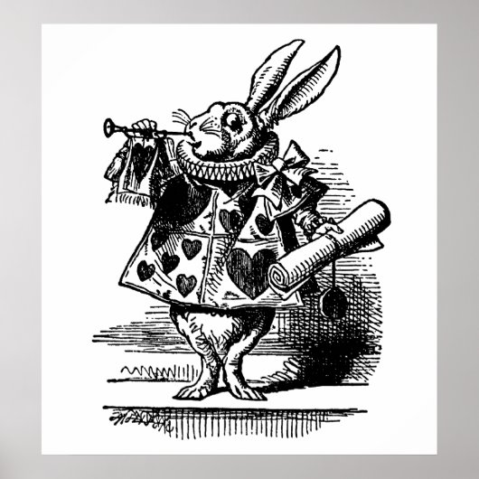 Het witte konijn poster (Voorkant)