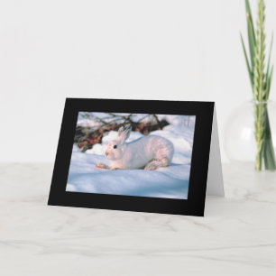 Het Witte Konijntje van de Personaliseerbare Kaart