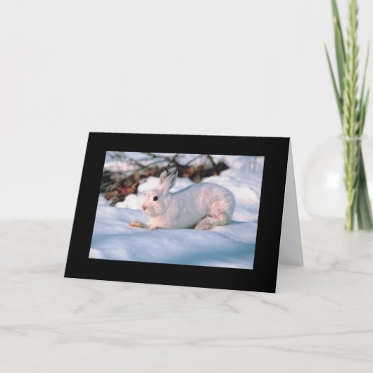 Het Witte Konijntje van de Personaliseerbare Kaart (Voorkant)