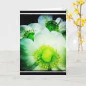 Het witte Lege Wenskaart van de Anemoon Kaart (Gele Bloem)