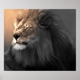 Het witte licht voelen poster