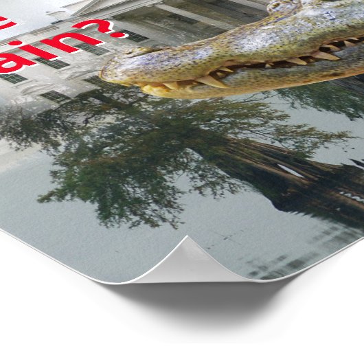 Het witte moerashuis Trump reptile tekenen Poster (Hoek)