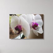 HET WITTE ORCHID canvas (Voorkant)