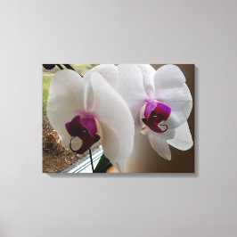 HET WITTE ORCHID canvas