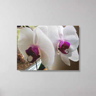 HET WITTE ORCHID canvas