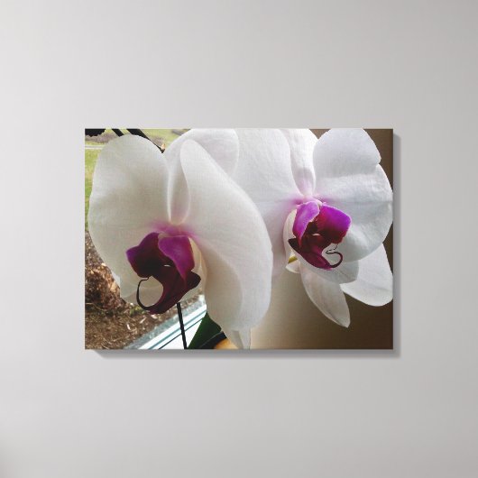 HET WITTE ORCHID canvas (Voorkant)