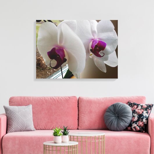 HET WITTE ORCHID canvas Afdruk (Insitu (Woonkamer))
