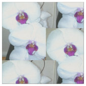 HET WITTE ORCHID-weefsel Stof (Close Up)