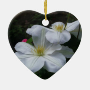 Het witte Ornament van de Bloem van het Paar van