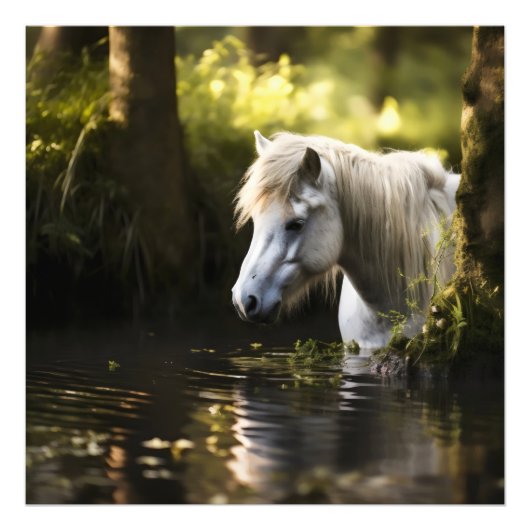 Het witte paard in de vijver foto afdruk (Voorkant)