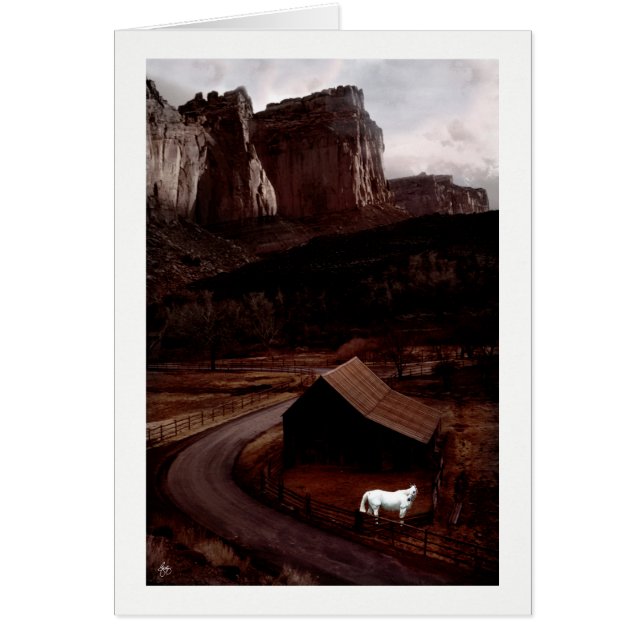 Het witte paard in een geschilderde canyon (Voorkant)