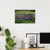 Het witte paard in een Lupine Field Poster (Thuiskantoor)