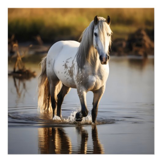 Het witte paard in het meer foto afdruk (Voorkant)