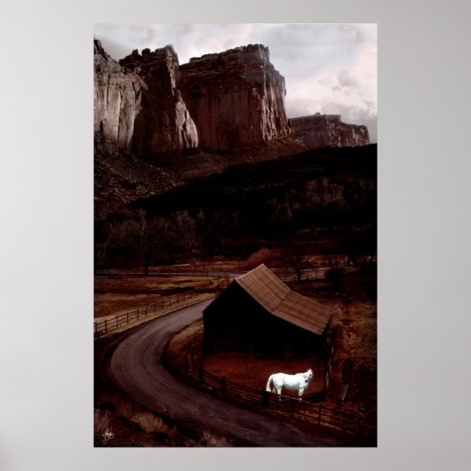 Het witte paard in het Utah Canyonlands Poster (Voorkant)