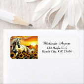 Het witte paard in het veld van zonnebloemen bij z etiket (Insitu)