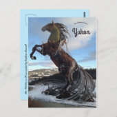 Het witte paard in Whitehorse Yukon Canada Briefkaart (Voorkant / Achterkant)