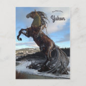 Het witte paard in Whitehorse Yukon Canada Briefkaart (Voorkant)