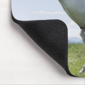 het witte paard springt op weide muismat (Hoek)