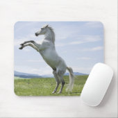 het witte paard springt op weide muismat (Met muis)