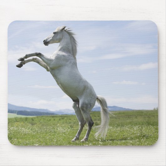 het witte paard springt op weide muismat (Voorkant)