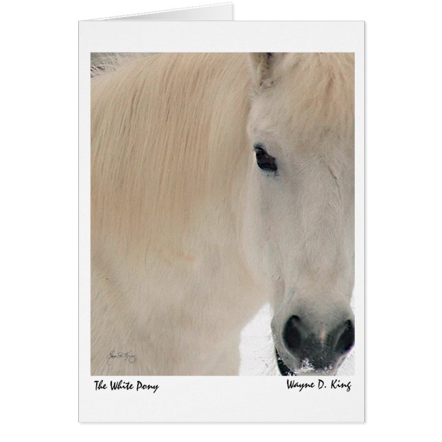 Het witte Pony (Voorkant)
