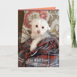 Het witte Puppy onder een Deken wordt goed spoedig Kaart