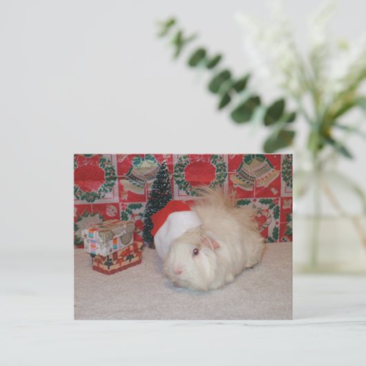 Het witte Varken van de Kerstman Feestdagenkaart (Staand voorkant)