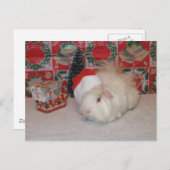 Het witte Varken van de Kerstman Feestdagenkaart (Voorkant / Achterkant)