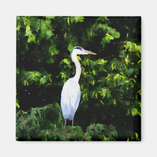 Het witte vogelnet magneet
