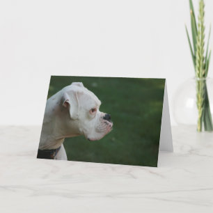 Het Witte Wenskaart van de Foto van de Hond van de Kaart