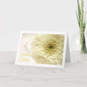 Het witte Wenskaart van Gerbera Daisy Kaart