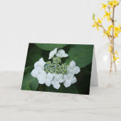 Het witte Wenskaart van het Kant Kaart (Gele Bloem)