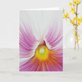 Het witte Wenskaart van het Viooltje Kaart (Gele Bloem)