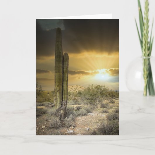 Het woestijnlandschap van Arizona met Sun Rays Feestdagen Kaart (Voorkant)