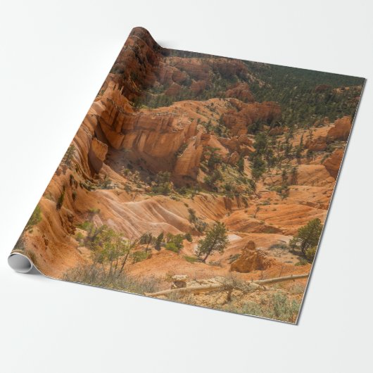 Het woestijnlandschap van Bryce Canyon National Pa Cadeaupapier (Uitgerold)