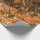 Het woestijnlandschap van Bryce Canyon National Pa Cadeaupapier (Hoek)