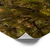 Het woestijnlandschap van Bryce Canyon National Pa Poster (Hoek)