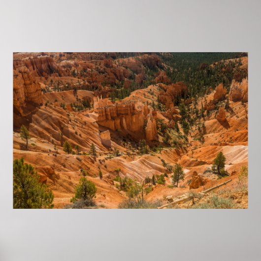 Het woestijnlandschap van Bryce Canyon National Pa Poster (Voorkant)