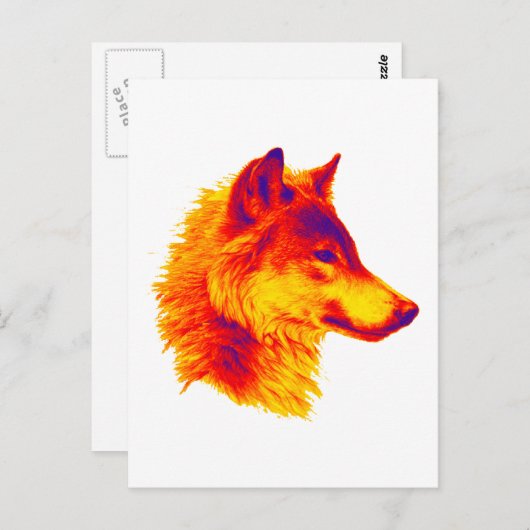 HET WOLF-PAUZE BRIEFKAART (Voorkant / Achterkant)