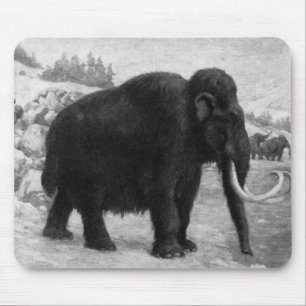 Het wollige MammoetLot van Mod. Muismat