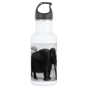 Het wollige MammoetLot van Mod. Waterfles