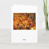 Het wonder van de schepping / herfst kaart (Achterkant)